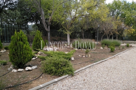 Guadalajara. Durón. Finca en venta ideal casa o alojamiento rural y eventos.