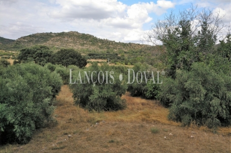 Guadalajara. Durón. Finca en venta ideal casa o alojamiento rural y eventos.