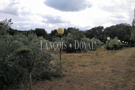 Guadalajara. Durón. Finca en venta ideal casa o alojamiento rural y eventos.