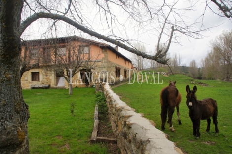 Burgos. Molino y aserradero en venta. Ideal turismo rural. Aldea Del Pinar.