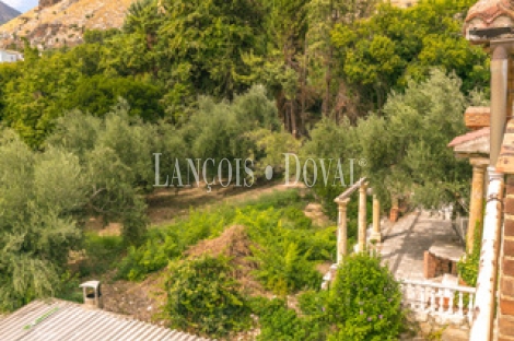 Jaén. Finca olivar en venta. Ideal eventos y hotel rural con encanto.