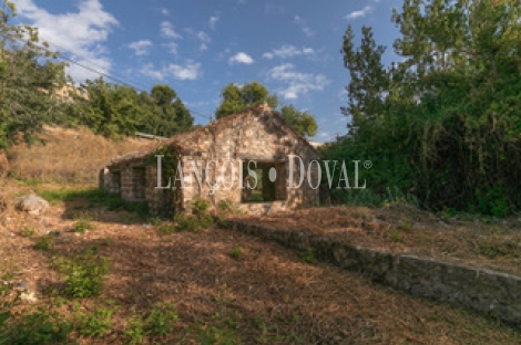 Jaén. Finca olivar en venta. Ideal eventos y hotel rural con encanto.