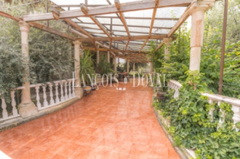 Jaén. Finca olivar en venta. Ideal eventos y hotel rural con encanto.