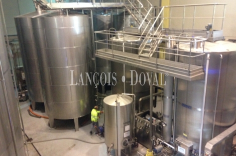 Modernas bodegas en venta. D.O Vinos de la tierra Valle del Cinca. Huesca.
