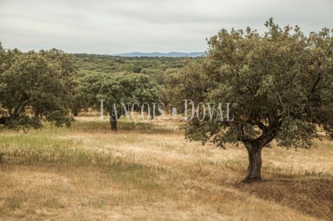 Cáceres. Venta hotel con encanto y restaurante eventos y celebraciones.