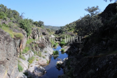 Cáceres. Dehesa en venta. Coto de caza mayor y menor. Comarca de La Jara.