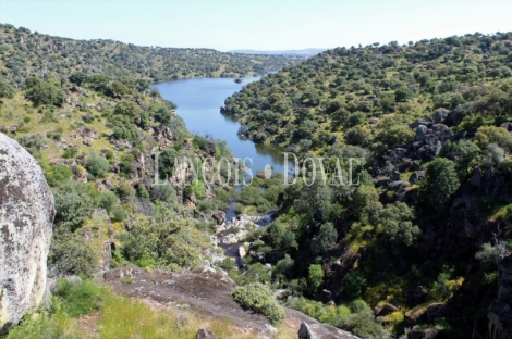 Cáceres. Dehesa en venta. Coto de caza mayor y menor. Comarca de La Jara.