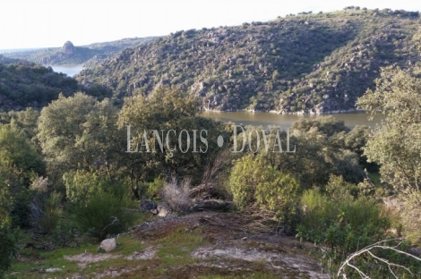 Cáceres. Dehesa en venta. Coto de caza mayor y menor. Comarca de La Jara.