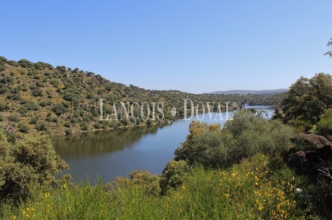 Cáceres. Dehesa en venta. Coto de caza mayor y menor. Comarca de La Jara.