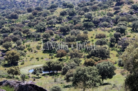 Cáceres. Dehesa en venta. Coto de caza mayor y menor. Comarca de La Jara.