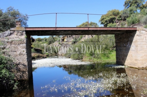 Cáceres. Dehesa en venta. Coto de caza mayor y menor. Comarca de La Jara.