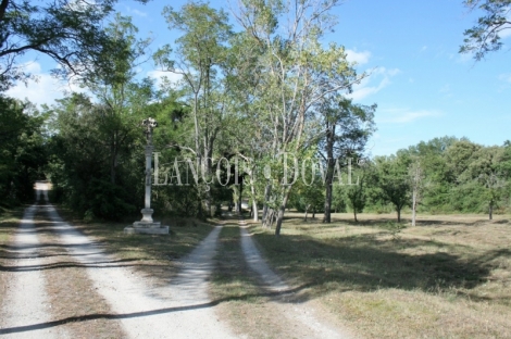 Burgos. Finca en venta con tres casas rurales y caballerizas. Villarcayo.