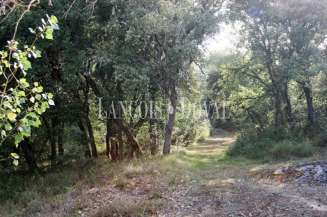 Burgos. Finca en venta con tres casas rurales y caballerizas. Villarcayo.