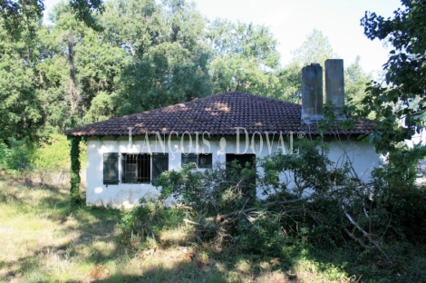 Burgos. Finca en venta con tres casas rurales y caballerizas. Villarcayo.