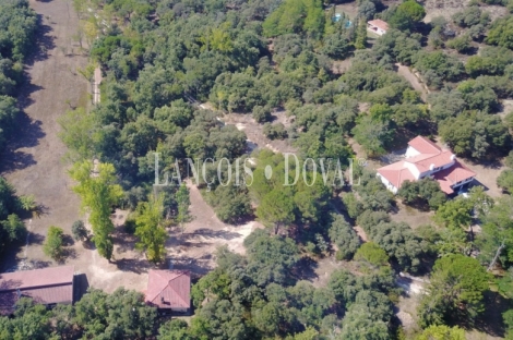 Burgos. Finca en venta con tres casas rurales y caballerizas. Villarcayo.