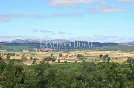 Burgos. Finca en venta con tres casas rurales y caballerizas. Villarcayo.