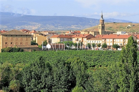 Logroño. Fuenmayor. Casa en venta. La Rioja