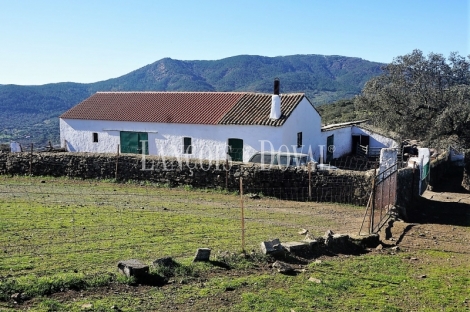 Badajoz. Fincas en venta. Explotación ganadera y coto de caza.