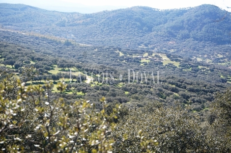 Badajoz. Fincas en venta. Explotación ganadera y coto de caza.