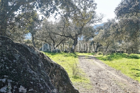 Badajoz. Fincas en venta. Explotación ganadera y coto de caza.