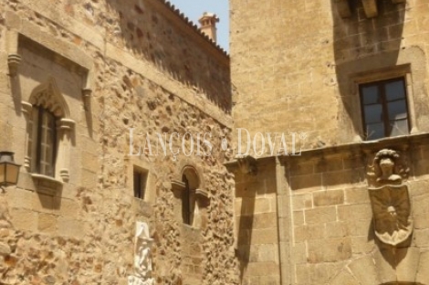 Cáceres. Casa señorial histórica en venta.