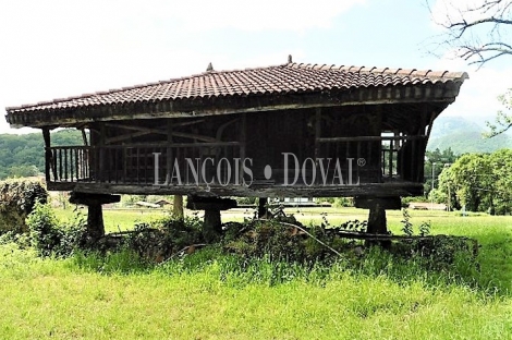 Oviedo. Palacio en venta. Asturias propiedades singulares e históricas.