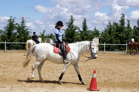 Toledo. Hípica en venta. Ideal actividades escolares y eventos.