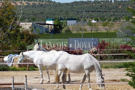 Toledo. Hípica en venta. Ideal actividades escolares y eventos.