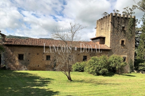 Asturias. Palacio de Doriga en venta. 