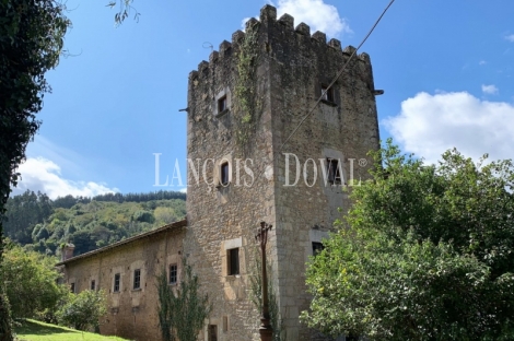 Asturias. Palacio de Doriga en venta. 