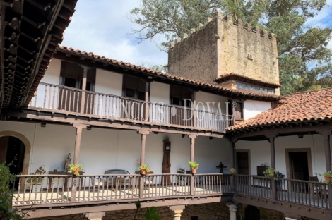 Asturias. Palacio de Doriga en venta. 