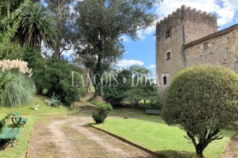 Asturias. Palacio de Doriga en venta. 