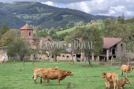 Asturias. Palacio de Doriga en venta. 