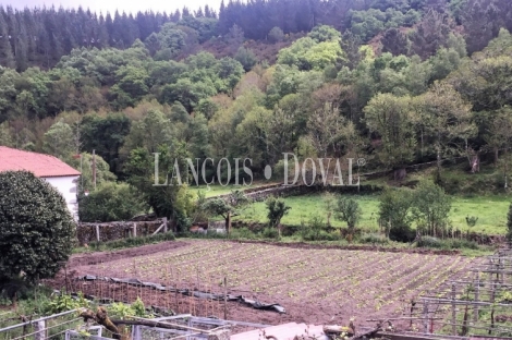 Lugo. Finca histórica en venta. Ribeira Sacra. Explotación turística y cinegética.