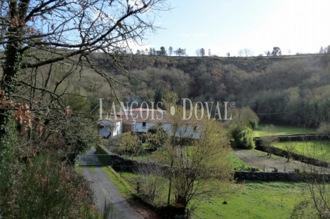 Lugo. Finca histórica en venta. Ribeira Sacra. Explotación turística y cinegética.