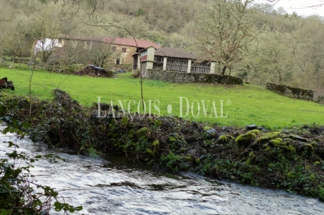 Lugo. Finca histórica en venta. Ribeira Sacra. Explotación turística y cinegética.