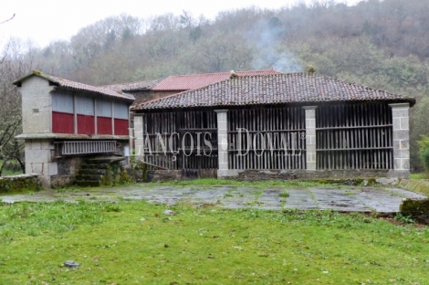 Lugo. Finca histórica en venta. Ribeira Sacra. Explotación turística y cinegética.