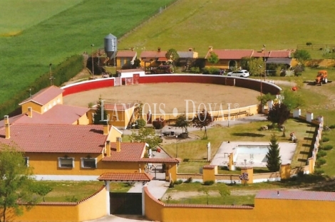 Ávila. Venta finca ecuestre y ganado bravo. Plaza de toros. Ideal eventos   