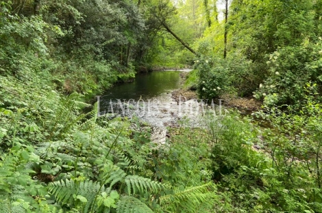 Asturias. Aldea rural en venta. Vegadeo. Antiguo molino.