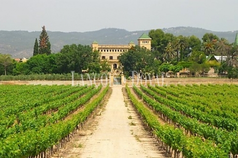 Penedès. Finca y palacio en venta. Bodega y eventos.