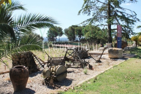 Baix Penedès. Masía y viñedos en venta.