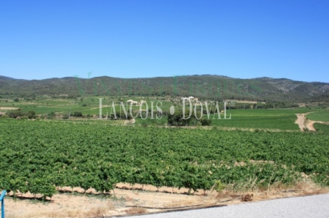 Baix Penedès. Masía y viñedos en venta.