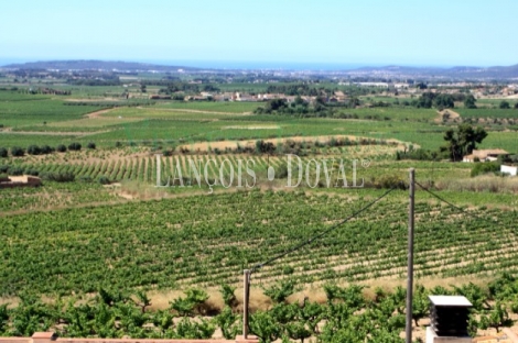 Baix Penedès. Masía y viñedos en venta.