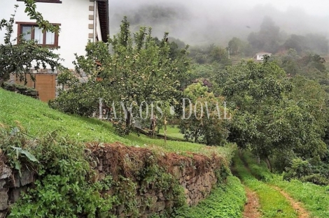 Cantabria. Casa rústica en venta. Liébana. Pesaguero.