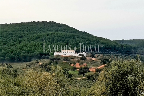 Jaén. Dehesas, fincas y cortijos en venta.