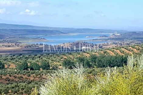 Jaén. Dehesas, fincas y cortijos en venta.