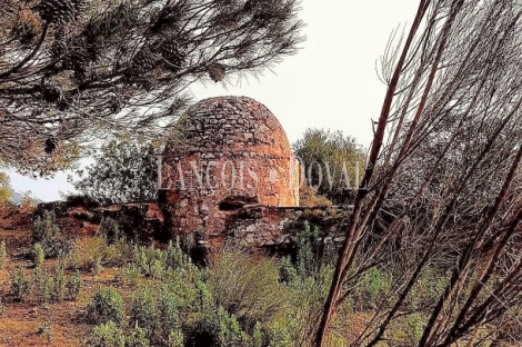 Jaén. Dehesas, fincas y cortijos en venta.