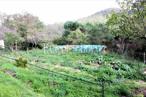 Maçanet de la Selva. Masía y finca en venta. Actualmente complejo rural.