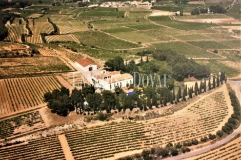 Alt Penedès. Viñedos, masía y bodega en venta para elaboración de vinos y cava.