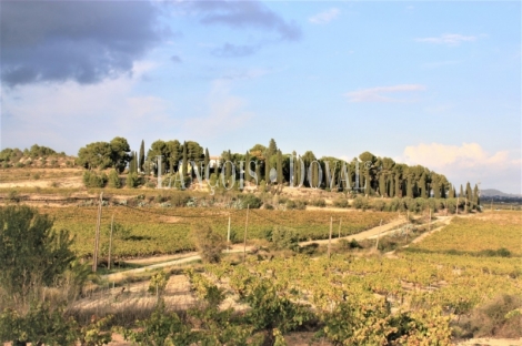 Alt Penedès. Viñedos, masía y bodega en venta para elaboración de vinos y cava.